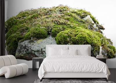 [Transparent Background PNG]Green Moss Growing on Rock Isolated on White Background Wall mural